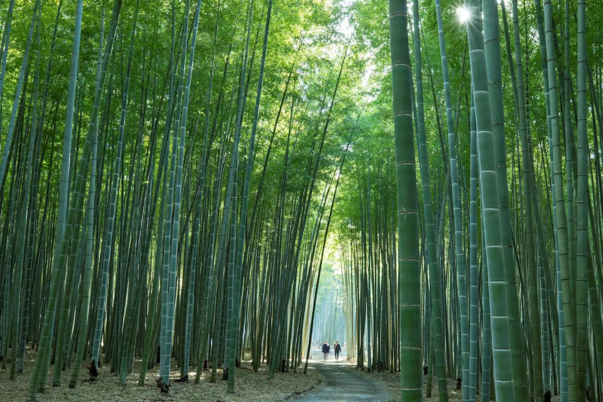 LINE CUBE SHIBUYA 渋谷公会堂ONE-STOP! SHIBUYA