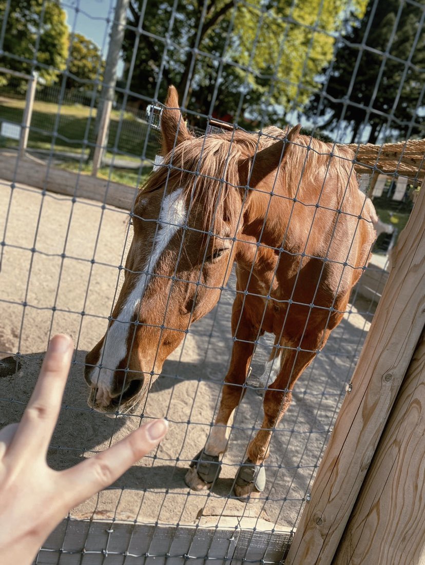 シクフォニ 暇72の顔バレ実写画像がイケメン！？年齢などのプロフィールも紹介！ペンタニュース