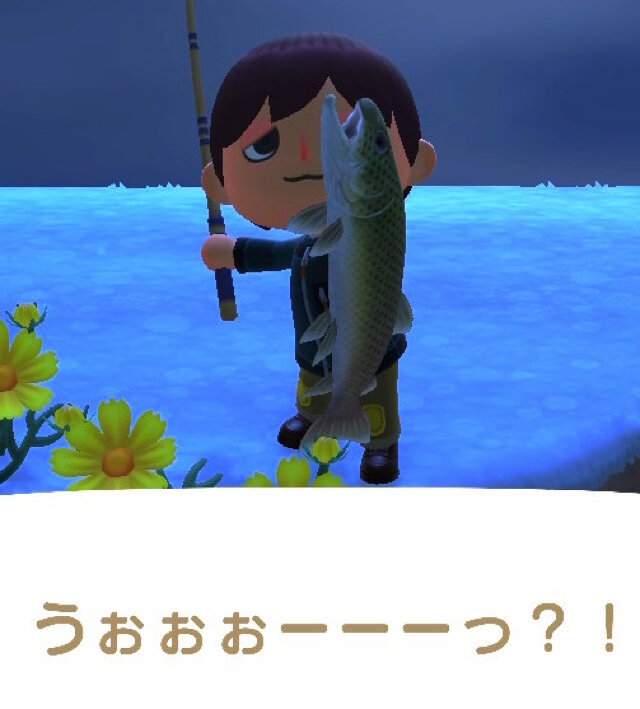 あつ森 1月の魚一覧 あつまれどうぶつの森攻略wiki- 神ゲー攻略