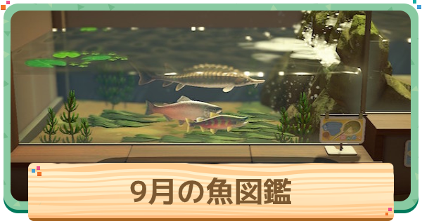 あつ森 2025年版 1月に捕れる海の幸一覧値段・泡の量・魚影 あつまれどうぶつの森- アルテマ
