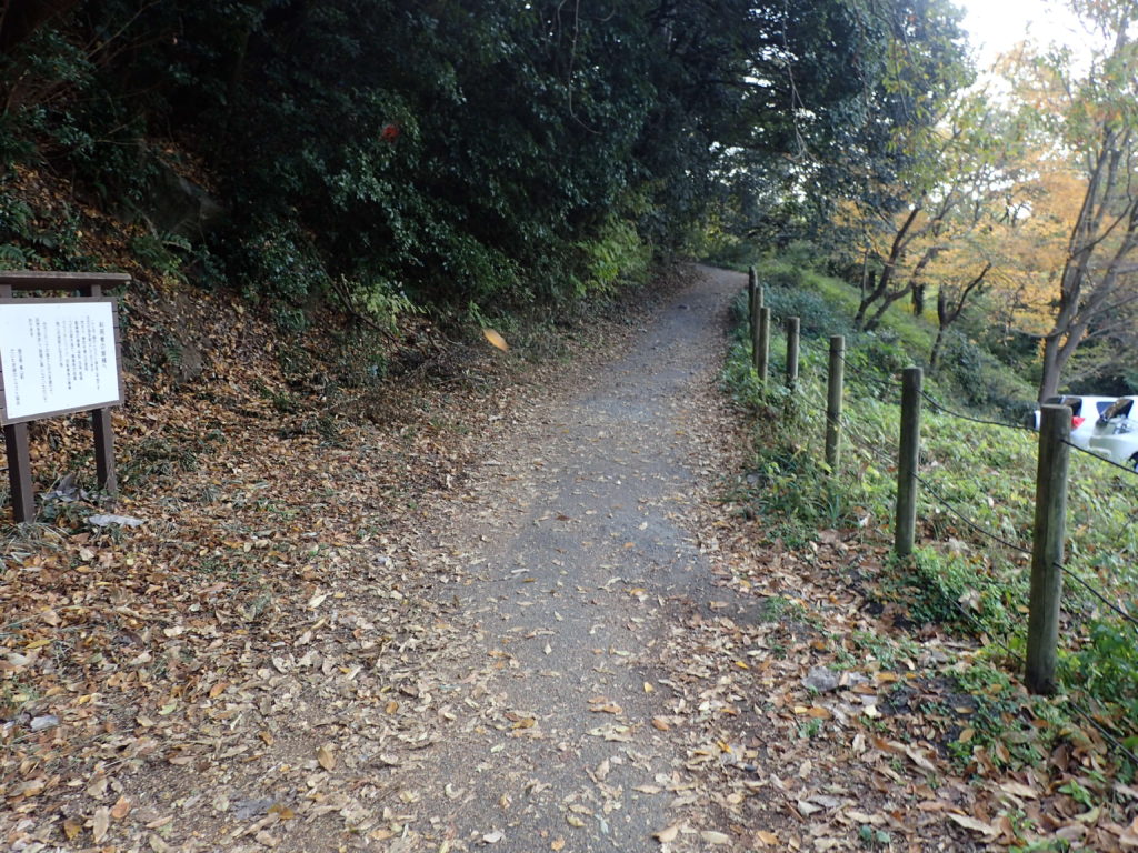 川遊びが楽しめる「嵐山渓谷バーベキュー場」を徹底レビュー埼玉県嵐山町Camp Navi -キャンプなび