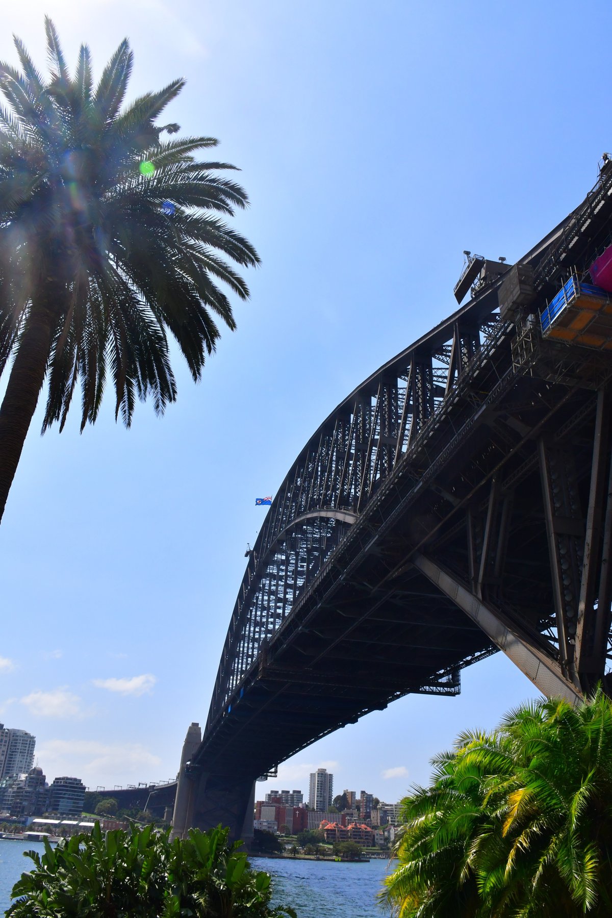 オーストラリア・シドニーの必須スポット「ハーバーブリッジ」の魅力と歴史Australia Life