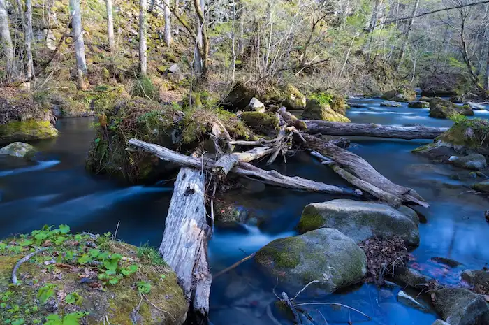 青森県のおすすめグランピング施設7選！コテージや温泉の魅力についても解説ワングランピング