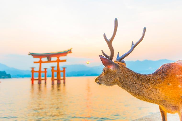 広島のぎょうざと言えばココ！ シャトレーゼガトーキングダムせとうちのブログ - 宿泊予約は＜じゃらん＞