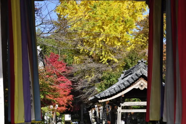 JR東海道本線 岐阜～美濃赤坂・米原 沿線の観光スポットこころから