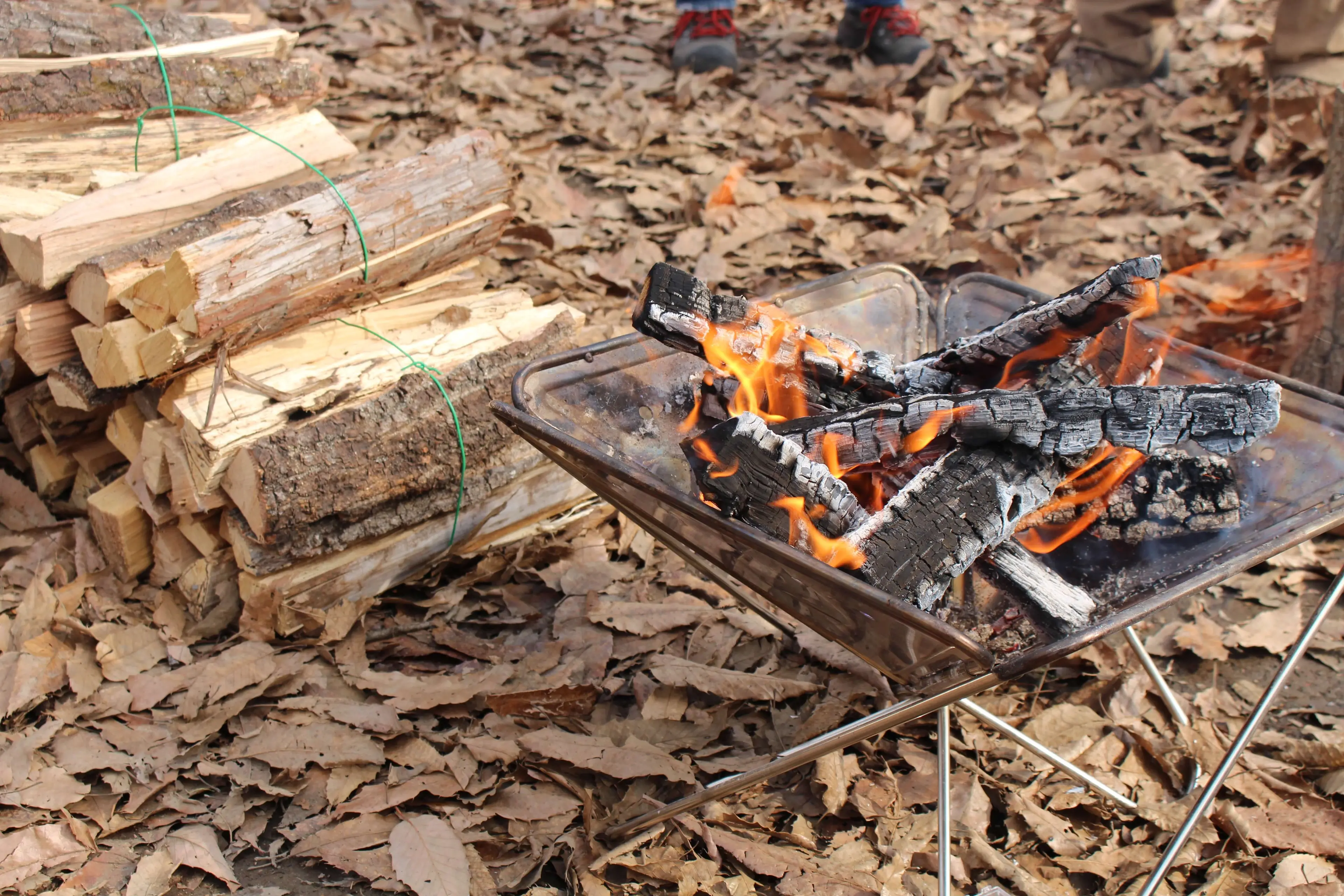 落ち葉が凄いでーす♪,焚き火 落ち葉 森の時間