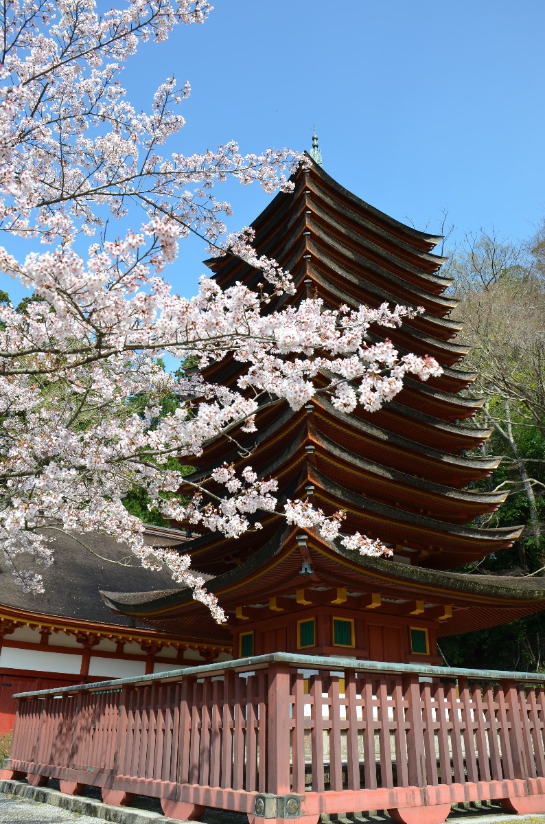 桜井市とは 移住前に知っておきたい基礎知識 支援情報・環境など