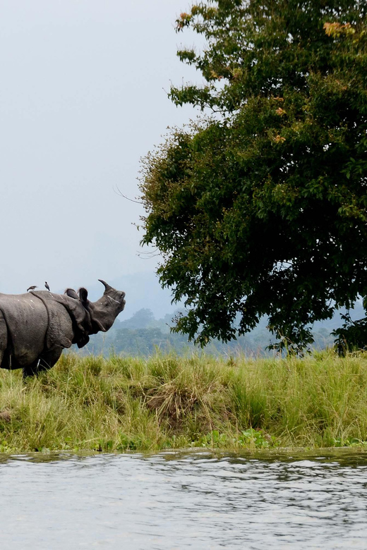 2025年 カジランガ国立公園の宿泊付きツアー: カジランガ国立公園の 5 件の宿泊付きツアーをチェックする - トリップアドバイザ