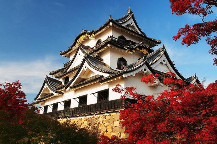 実は戦闘用だった！？日本と海外のお城の違いを徹底分析！外国人向け伝統文化体験モテナス日本