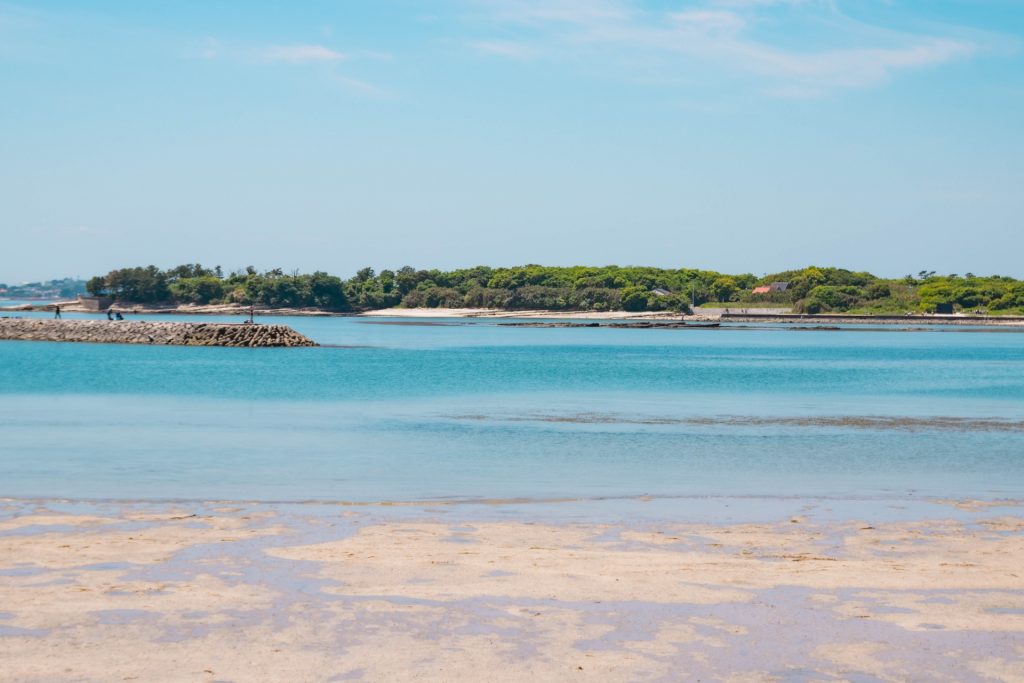 2025年 佐久市で絶対外さないおすすめ観光スポットトップ10 - トリップアドバイザ