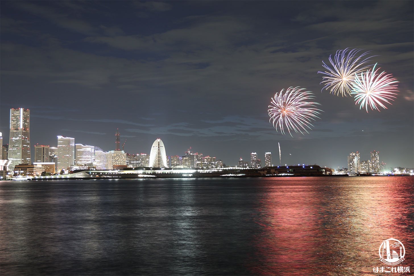 横浜スパークリングトワイライト花火 2枚目です。 山下公園のバラ園と花火の競演でしたが バラ🌹はかなり散ってました〜😅 EOS R5 RF24-105L 2024.5.25 山下公園花火大会未来のバラ園みなとみらいハマフェス横浜スパークリングトワイライト山下公園横浜