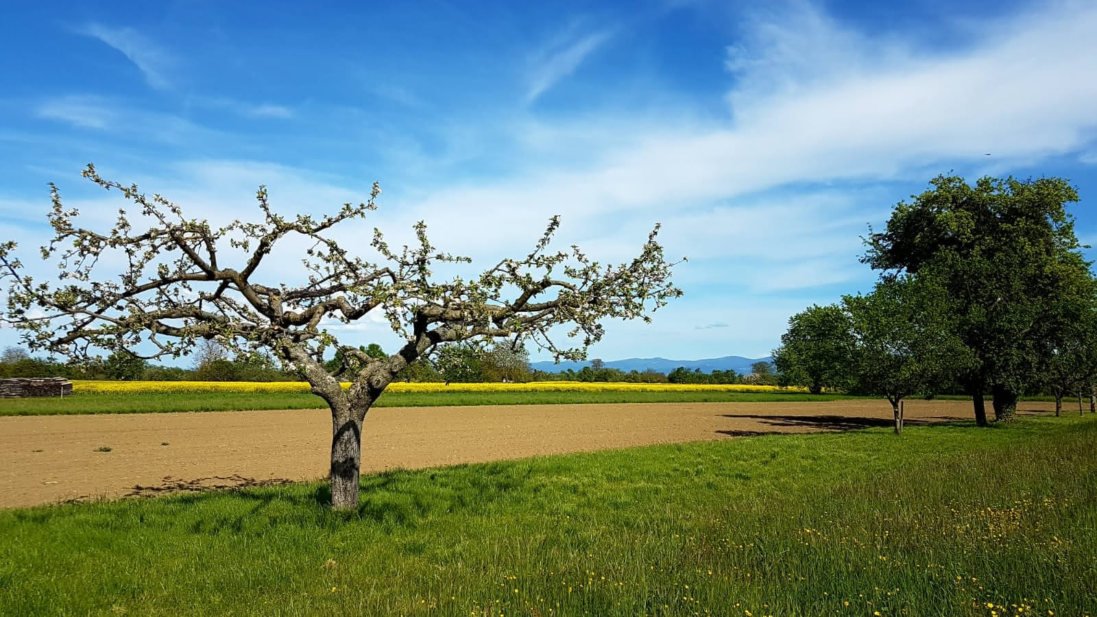 JUNくんのPOMサーキットデビュー！！-ラジコンとクルマの日記- ☆My Hobby Life☆