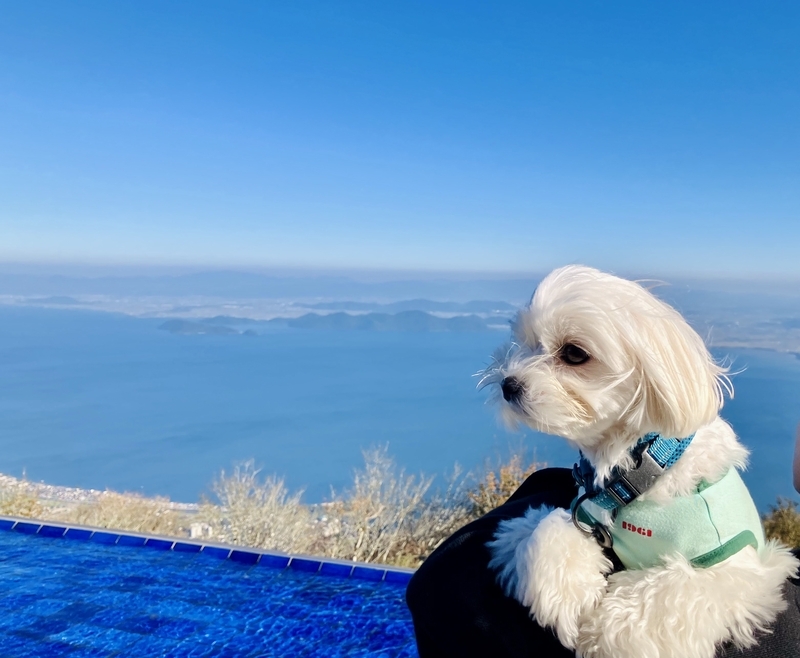 愛犬と「びわ湖バレイ」へ！天空のレジャースポットで圧巻の景色を楽しもう - 休日いぬ部