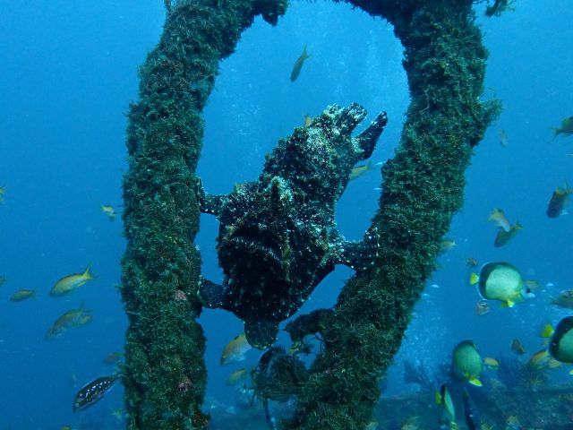 世界のびっくり!? 海中風景エリア情報Marine Diving web マリンダイビングウェブ
