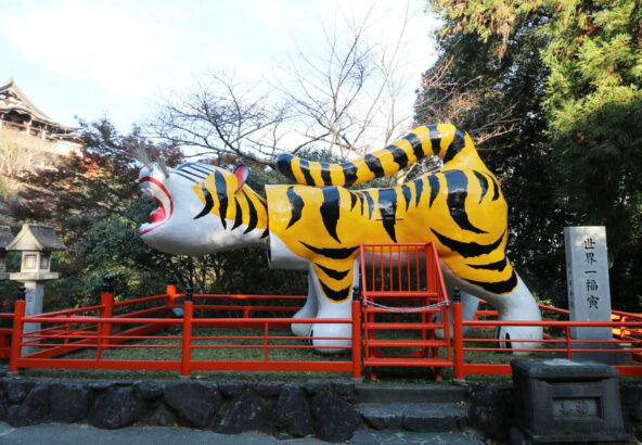 開運バンジージャンプ 信貴山 しぎさん 高さ30メートル 関西唯一のブリッジバンジー！＜GoProレンタル・データ付き