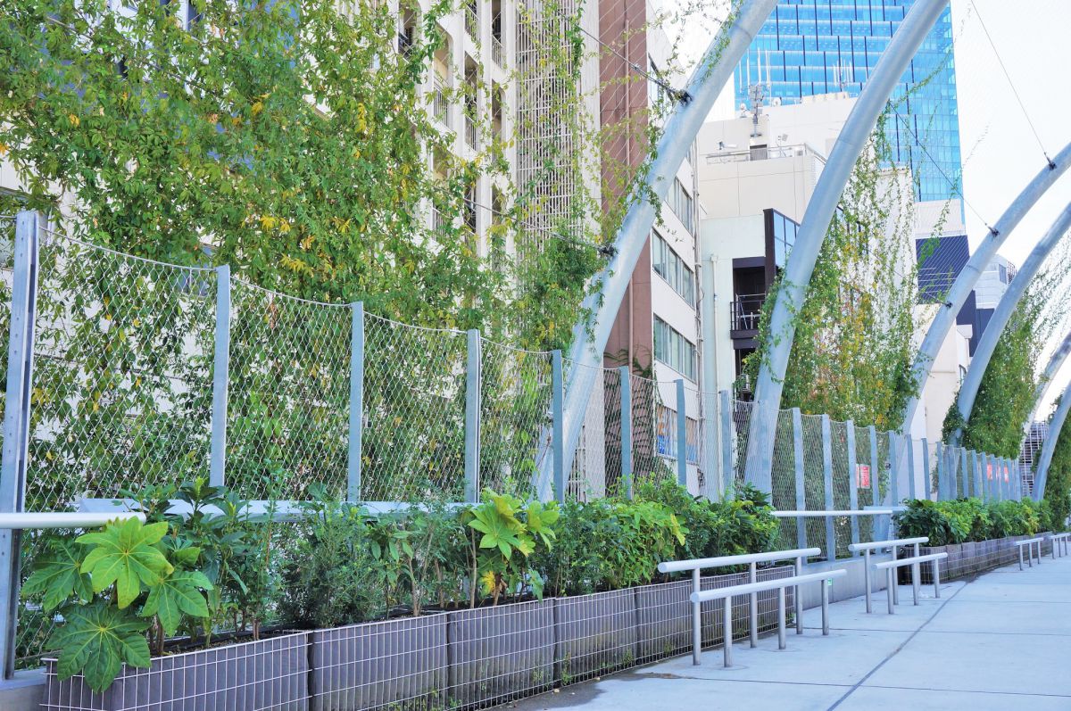 スポーツ施設案内 - 公園施設紹介渋谷区立宮下公園