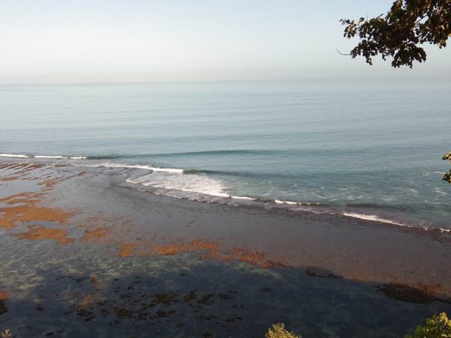 人類史上初「バイク」でサーフィン！ビッグウェーブに挑む大迫力映像TABI LABO