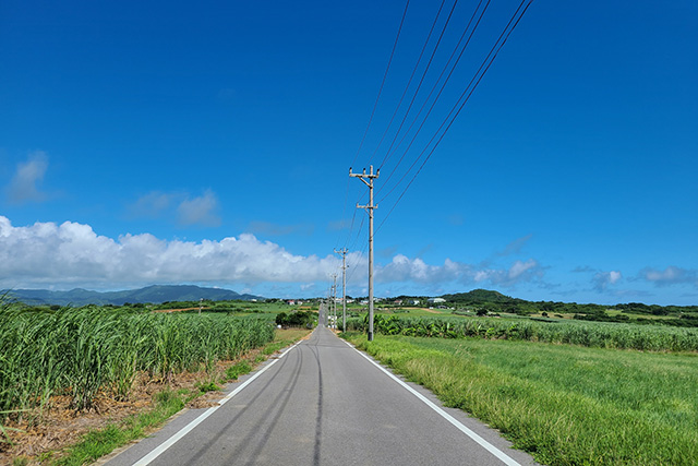 さとうきび収穫＆黒糖作り 期間限定1-3月あったか沖縄、ウージ畑で今だけのアウトドアご当地体験株式会社H.P.D.コーポレーションのプレスリリース