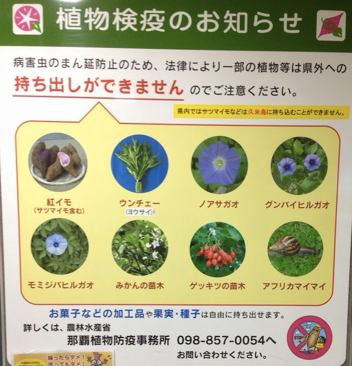 注意 知らないと危険！沖縄でやってはいけないこと7選おきなわ部