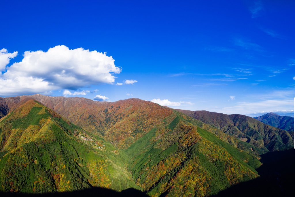 東京にもあった爽快な紅葉ロード！1.5kmにわたりモミジバフウの絶景が楽しめる「上之根大通り」 oto- エキスパート - Yahoo!ニュース