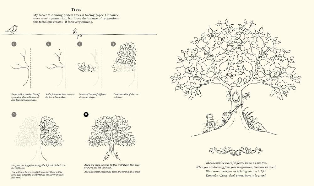 トランクウィル 山梨市、おだやかな時間が流れるカフェレストラン。てくてく甲府