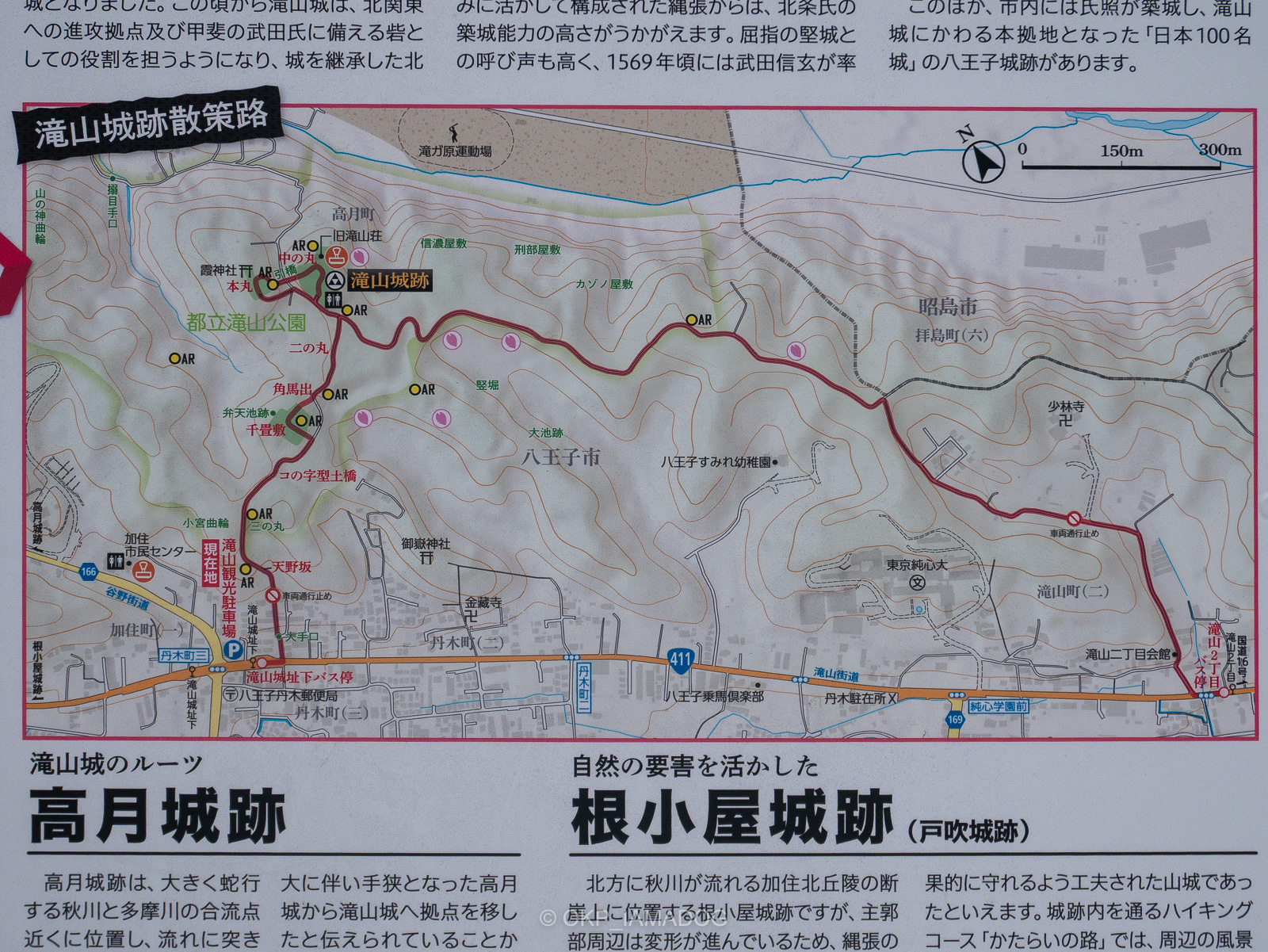 滝山公園 東松島市 へのアクセス子供とお出かけ情報「いこーよ」