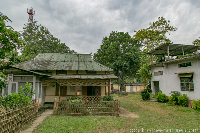 カジランガ国立公園とグワハティ 2025 - ゴウハティ