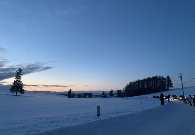 ♡クリスマスツリーの木 の現実 2枚目バスツアーは雪が多すぎて駐車スペース少なくなるため車窓からしか見れず。当日に知る悲しさ。笑窓開けて写真撮っていいって言われたけど凍って窓もあかず。笑 これの為にこのツアーを選んだのに 。 滑って怪我する人もで
