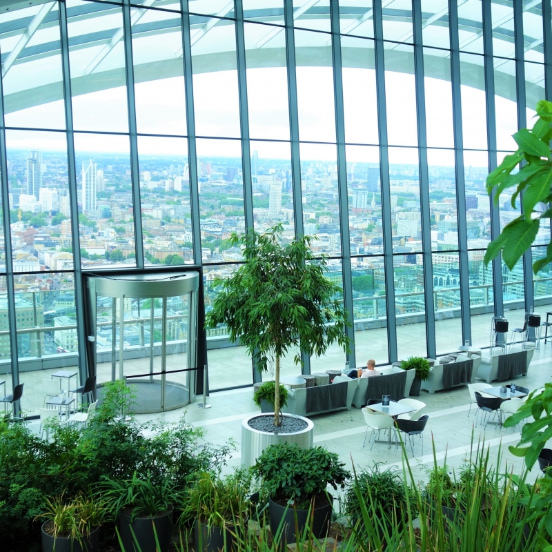 高層ビルの最上階にあるオアシス「スカイ・ガーデン」20フェンチャーチ・ストリート英国ニュースダイジェスト・ブログ