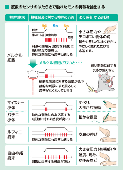 ワンピース」全“ルフィ”集結！ギア2～5までが手のひらサイズに♪ デフォルメフィギュアの最強版登場アニメ！アニメ