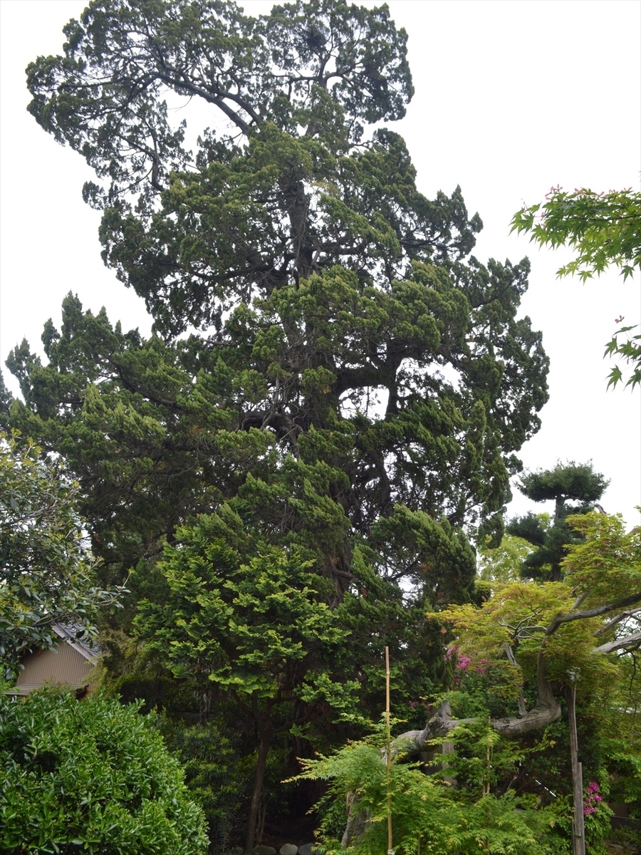 松林寺 - 浜松市 静岡県Omairi おまいり