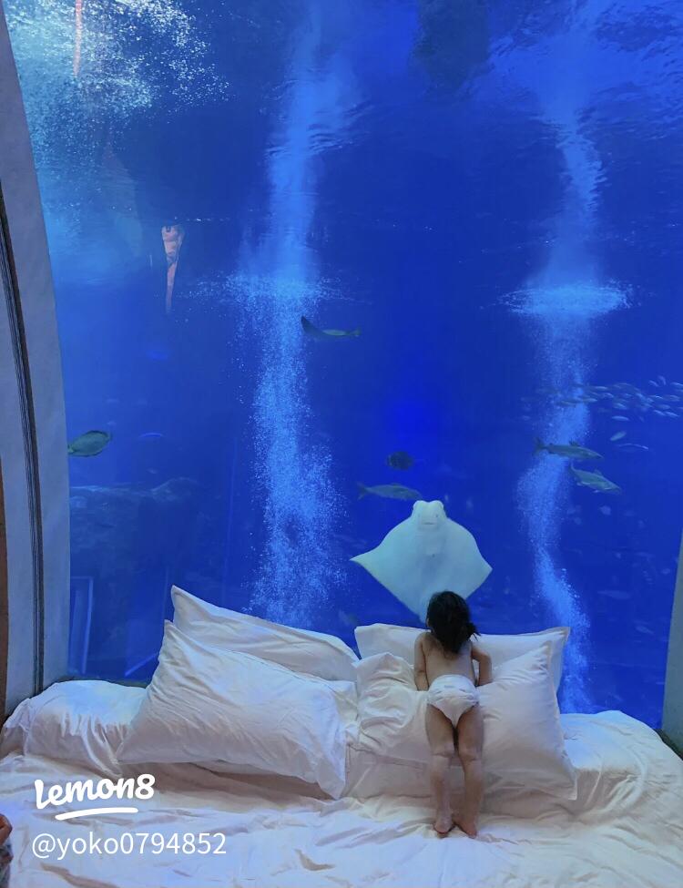 一度は泊まってみたい！まるで海の中にいるような水中ホテル12選 - サッポロビール公式メディアCHEER UP