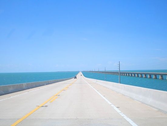 セブンマイルブリッジはアメリカのドライブスポット！観光の見どころや行き方を解説NEWT ニュート