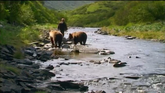 バンフ国立公園、グリズリー熊の保護のため立ち止まり禁止区域を設置 –GO Banff 「ゴーバンフ」カナダ ・バンフの歩き方！カナディアンロッキー旅行の計画に最適なサイト