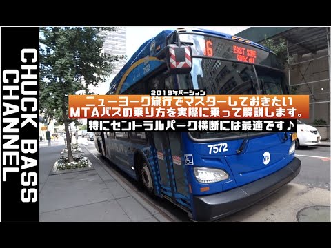 アメリカのサンタバーバラで公共交通機関を利用しよう！バスの乗り方ガイドGuanxi Times海外転職