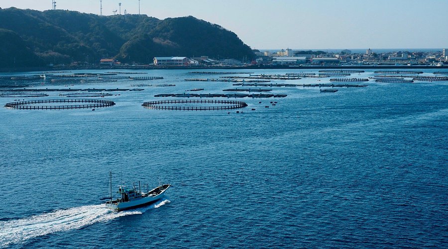 串本港岸壁より望む紀伊大島とくしもと大橋 81522031341 の写真・イラスト素材アマナイメージズ
