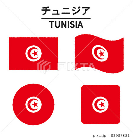 N 国旗 チュニジア L版 No.23218 取寄商品☆2繁盛支援カタログVol.14 P277旗,国旗のぼり屋工房オンラインカタログ