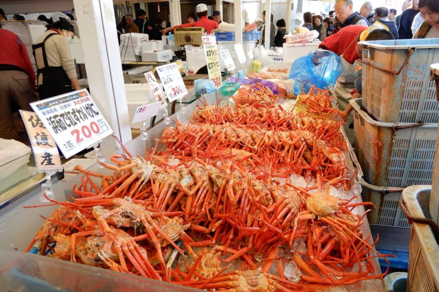 2023-2024 寺泊魚の市場通り 魚のアメ横 の年末年始の営業時間 – icoro