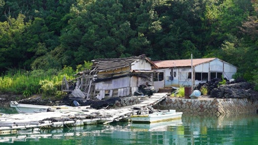 三重・英虞湾の真珠業者、フーコック島で養殖事業に進出日系- VIETJOベトナムニュース