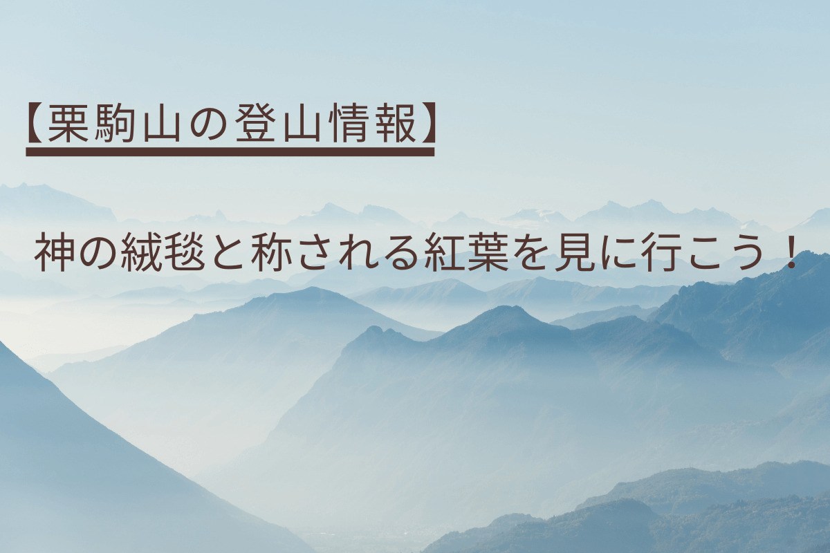 神の絨毯はどこだ？栗駒山へ紅葉登山に登山レポート登山・アウトドア用品の専門店 好日山荘
