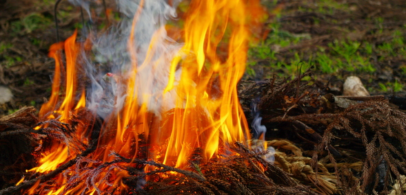 実際にやってみて分かったアウトドアで放っておくだけでも火をおこせる魔法の方法キャンプ・アウトドア情報メディアhinata