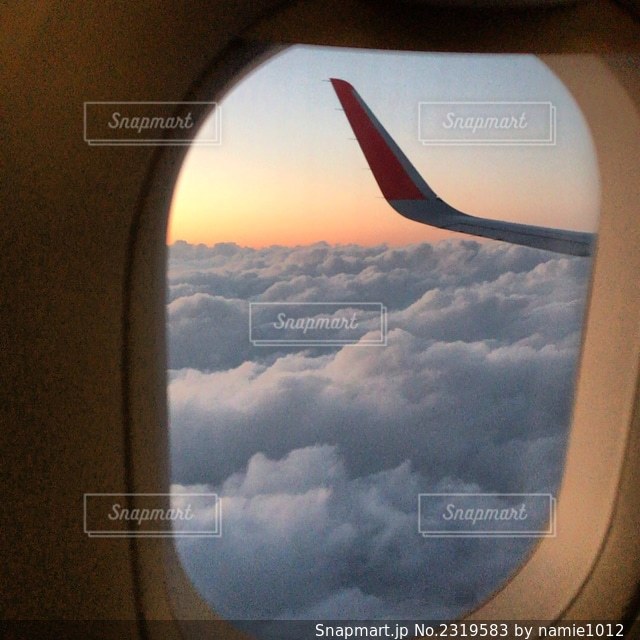 飛行機の日よけ 下げる必要は本当にある？Forbes JAPAN 公式サイト フォーブス ジャパン