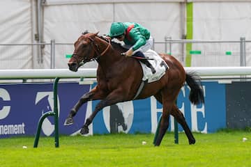 ミカエル・バルザローナ騎手直筆サインパネル カランダガン サンクルー大賞 凱旋門賞のダリズと同じグラファールとアガ・カーン殿下の馬www跨買TOKUKAI - 日本Y拍代標首選，日本代標