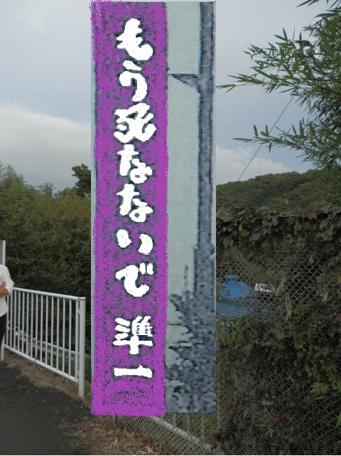 秦野と伊勢原つなぐトンネル 「落石注意」心霊スポットへ 追う！マイ・カナガワカナロコ by 神奈川新聞