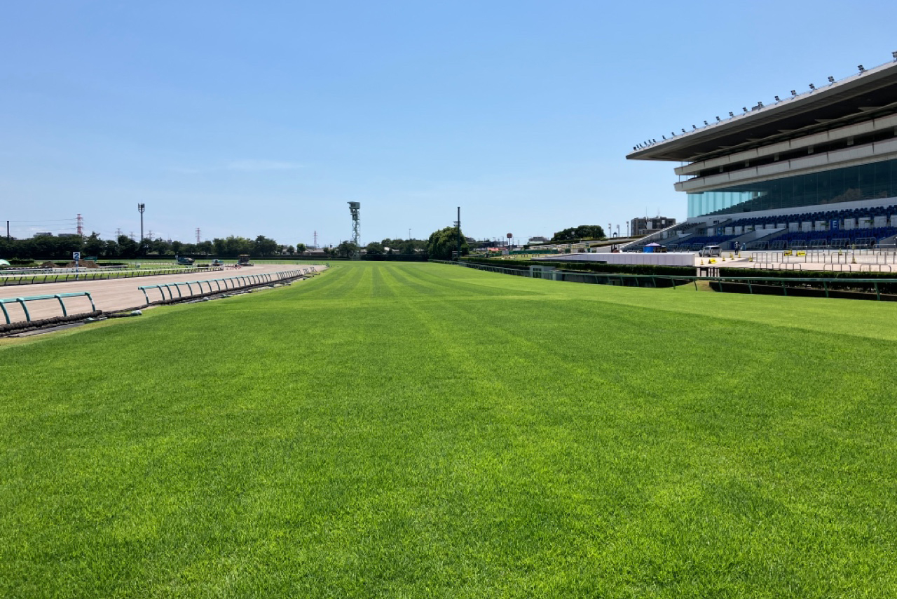 東京競馬場 アクセス 電車・車での行き方・料金・時間をエリア別に徹底比較した！アキチャン -akippa channel