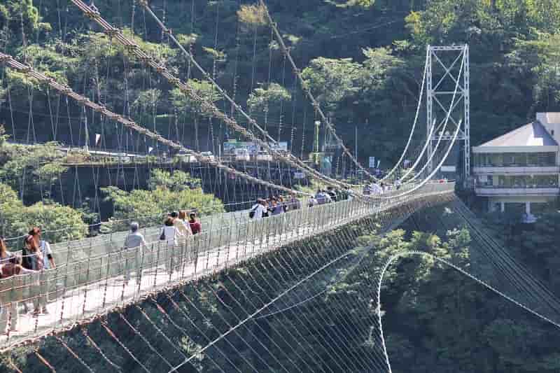 富士山を眺めながら、日本一長い人道吊り橋「三島スカイウォーク」を渡ろう！NAVITIME Travel