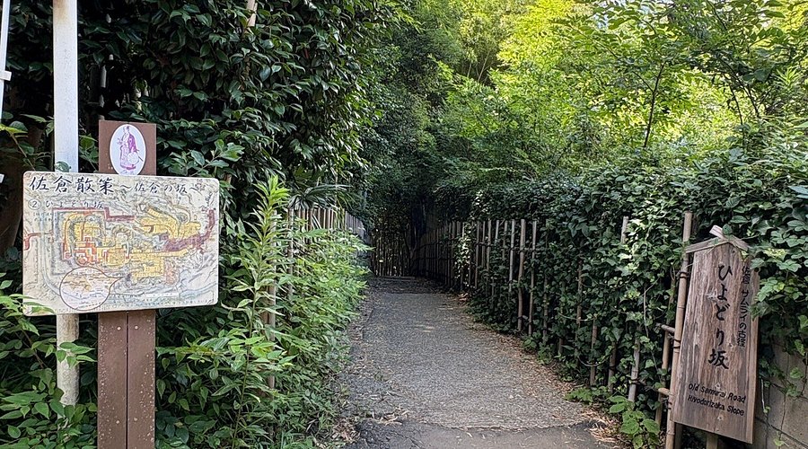 佐倉市城内町にある ひよどり坂 に, お邪魔しました🤗, 江戸時代からほとんど変わっていない, 竹林望む坂は、かつて、通るとひよどり,が鳴く、源義経が急斜面を駆け下りる「鵯 ひよどり 越の逆落とし」にちなんだといった諸説があります🤔, サムライが出てきそうですね😲,佐倉市のスポット ,サムライの古径ひよどり坂 ,竹林の小径 佐倉の魅力あなたに届け🌸