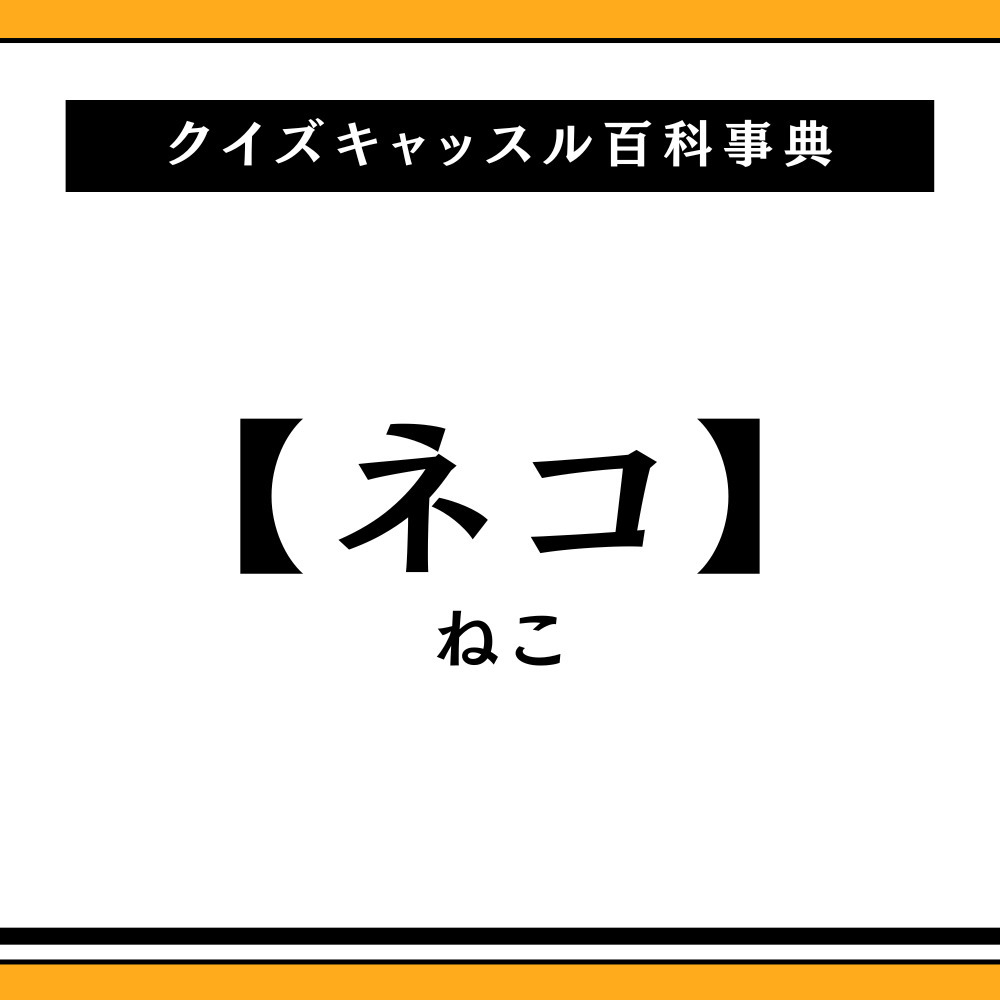 Special Dinner】9月ノンアルコールカクテル プッシーキャットのご紹介です！ -