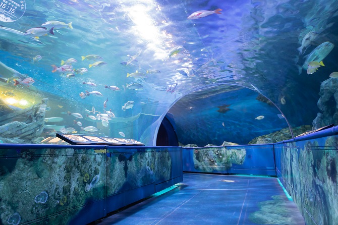 カップルおすすめコースアクアマリンふくしま