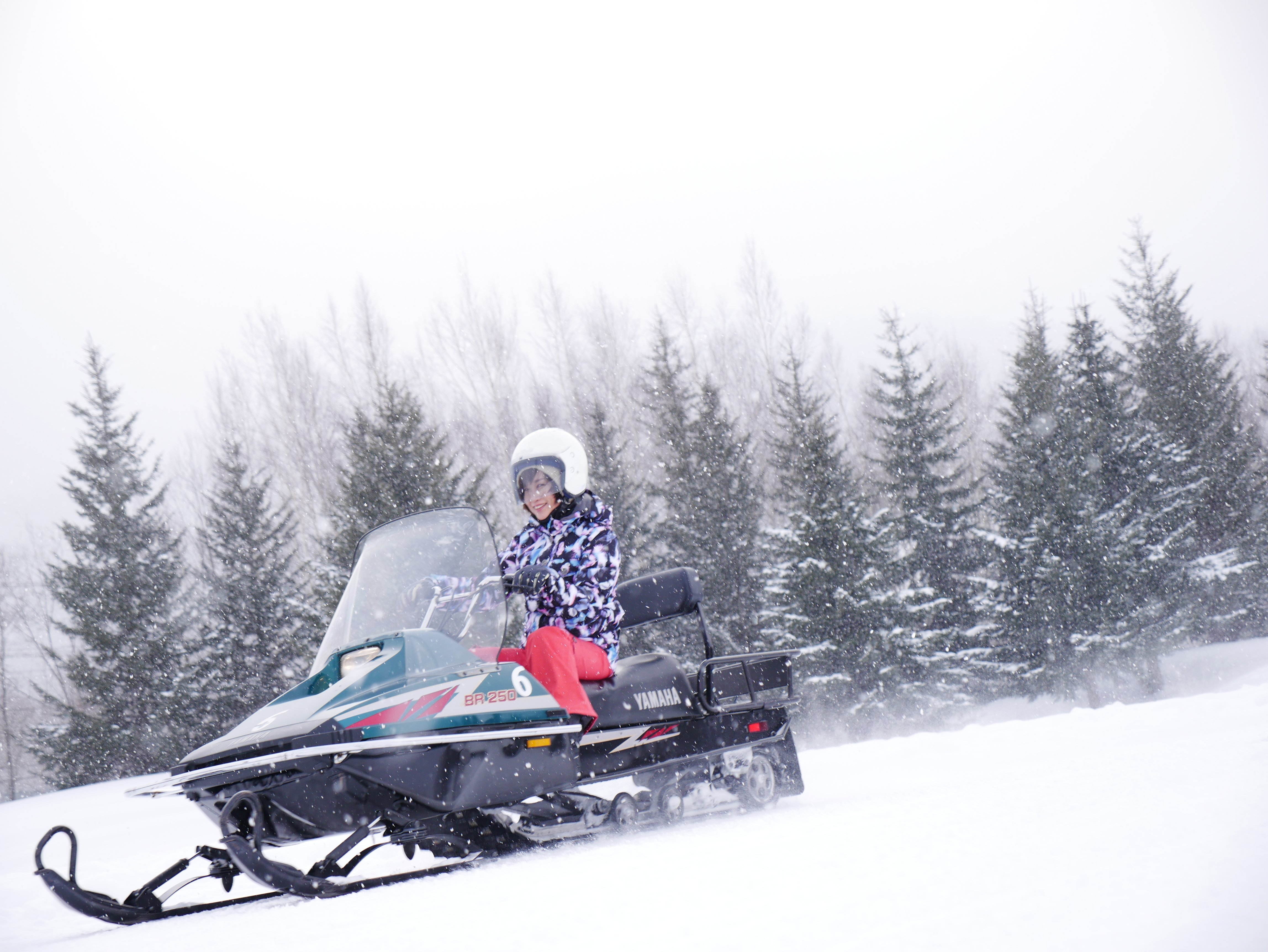 木製電車セット 木のおもちゃ ギフト可 低年齢から遊べる天然木ののりものおもちゃ トレインアンドオートモービルセット MY FIRST VEHICLE車 くるま クルマ car 汽車 列車 train 乗り物 木製 木のおもちゃ 知育 玩具木の雑貨とギフト-Mokutopia モクトピア 公式